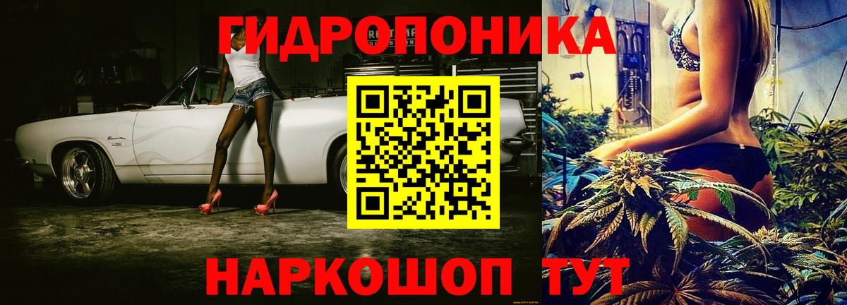 Бошки Шишки индика Славгород